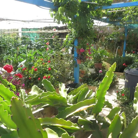 Gartenapartment Cortez Апартаменты *