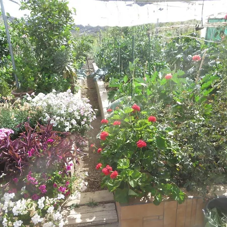 Апартаменты Gartenapartment Cortez